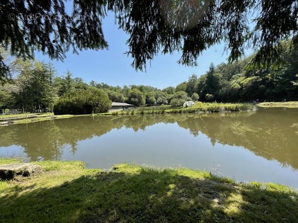 Maison à LE PALAIS-SUR-VIENNE