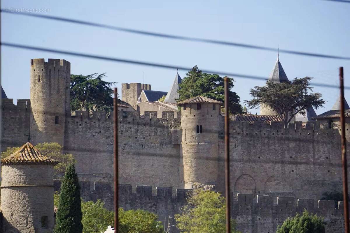 Élégante maison de ville avec piscine et jardin à deux pas de la cité de Carcassonne. - photo 20
