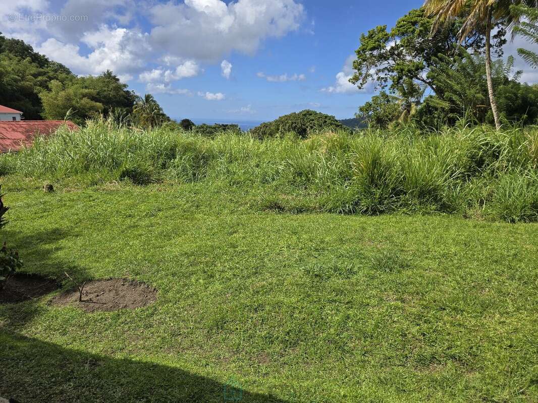 Maison à LE MORNE-ROUGE