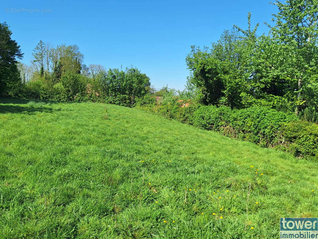 Terrain à CAMBLAIN-CHATELAIN