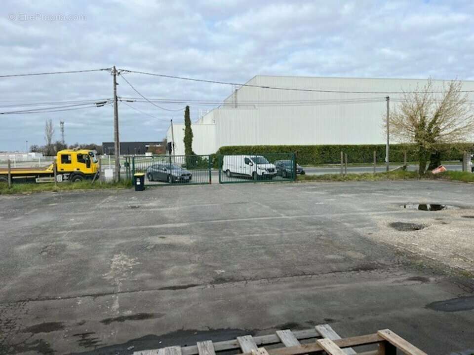 Commerce à SAINT-LOUBES