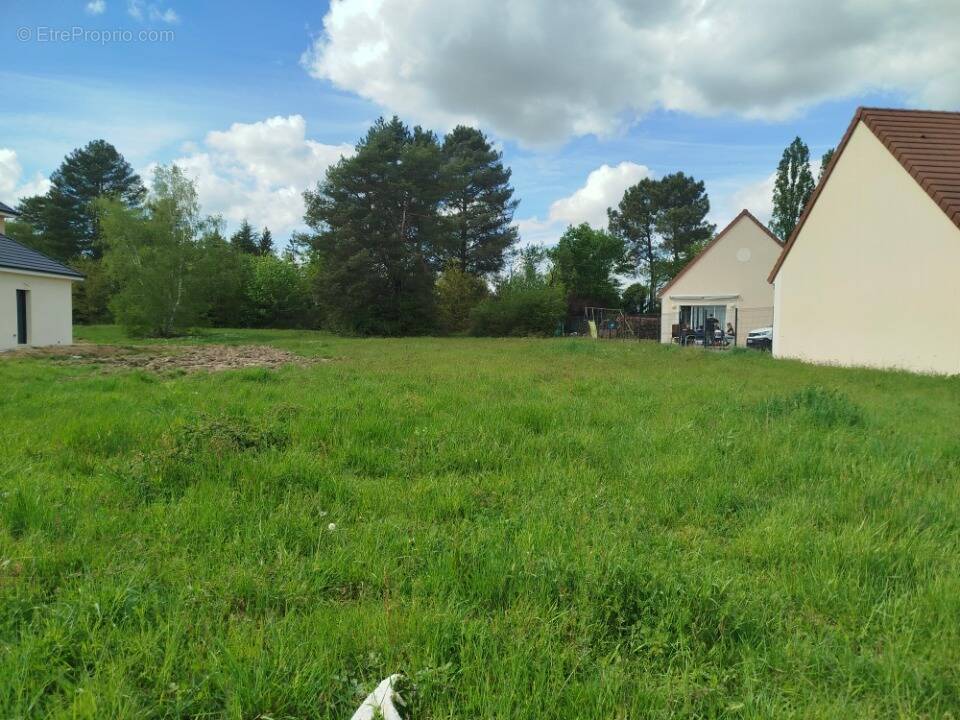 Terrain à SOREL-MOUSSEL