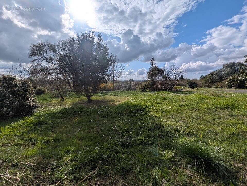 Terrain à PLASSAC