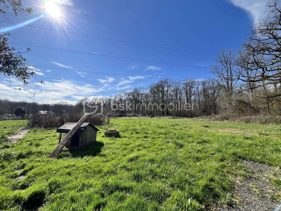 Superbe maison de campagne fraîchement rénovée sur son magnifique terrain au cœur de la forêt - photo 23