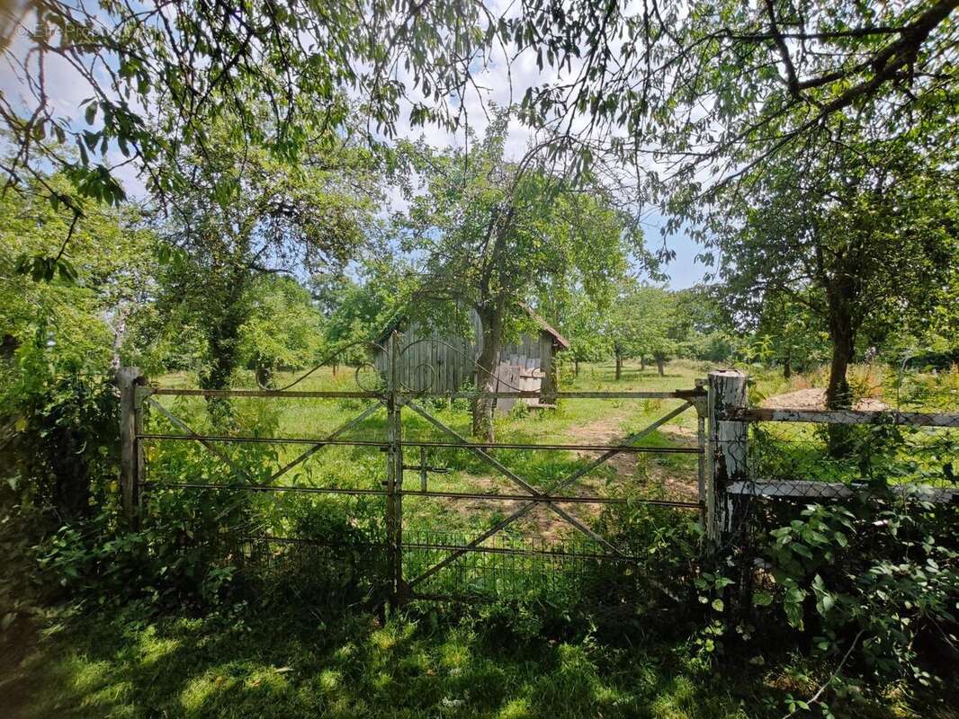 Photo 2 - Maison à SEVRAI