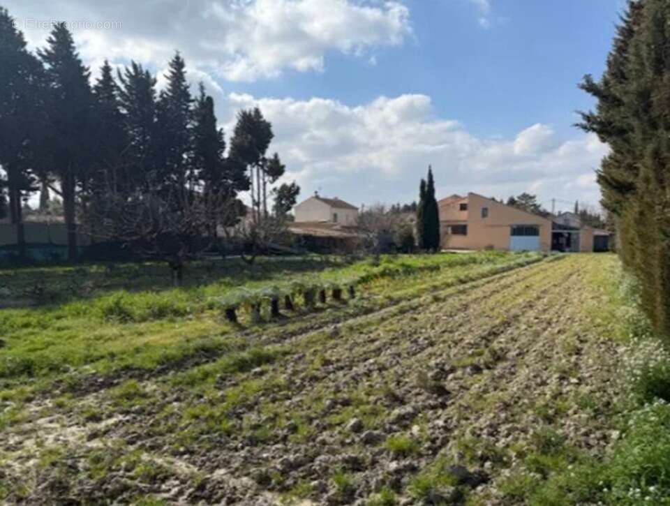 Terrain à AVIGNON