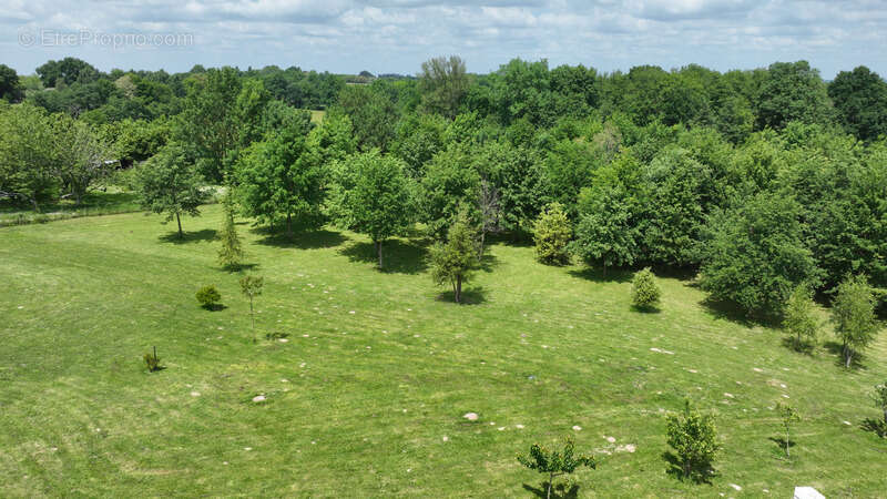 Maison à CASTELNAU-D&#039;AUZAN