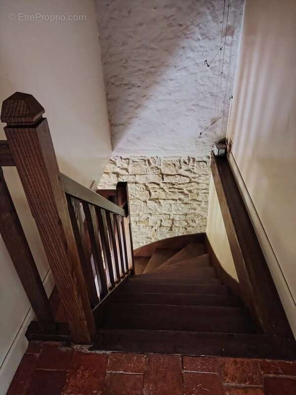 À vendre longère terrain 1,8 ha St-Malo-en-Donziois - photo 10