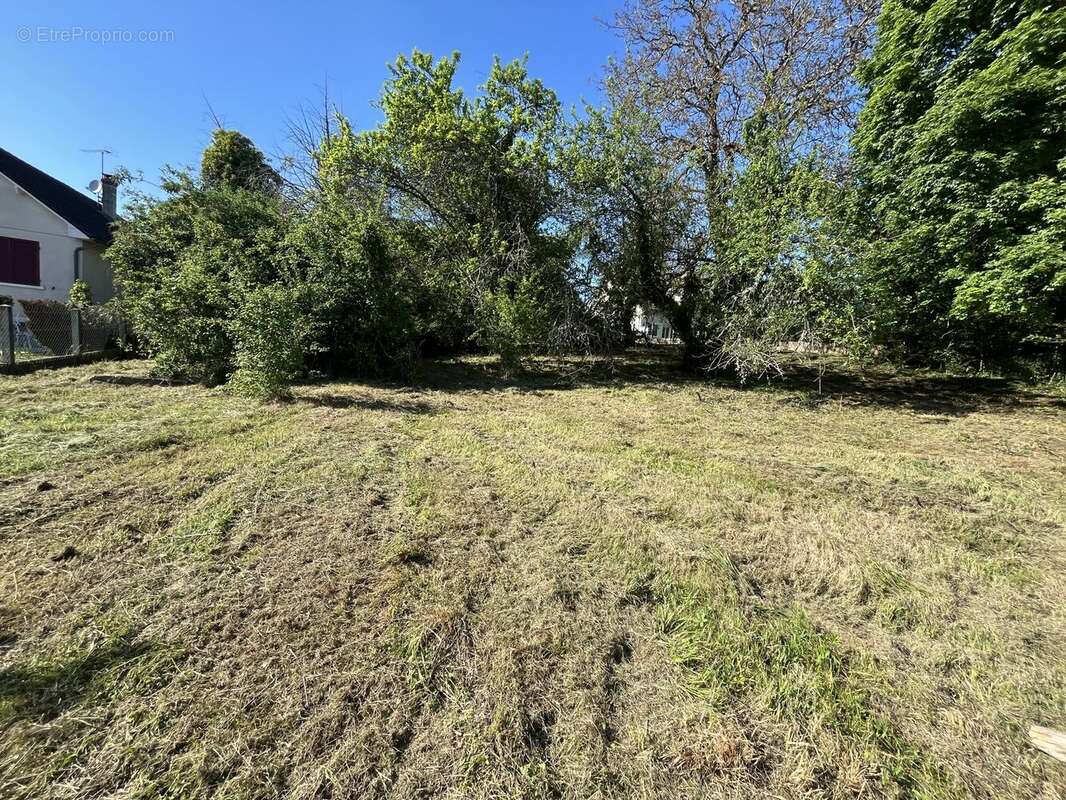 Terrain à SAINT-BENIN-D&#039;AZY