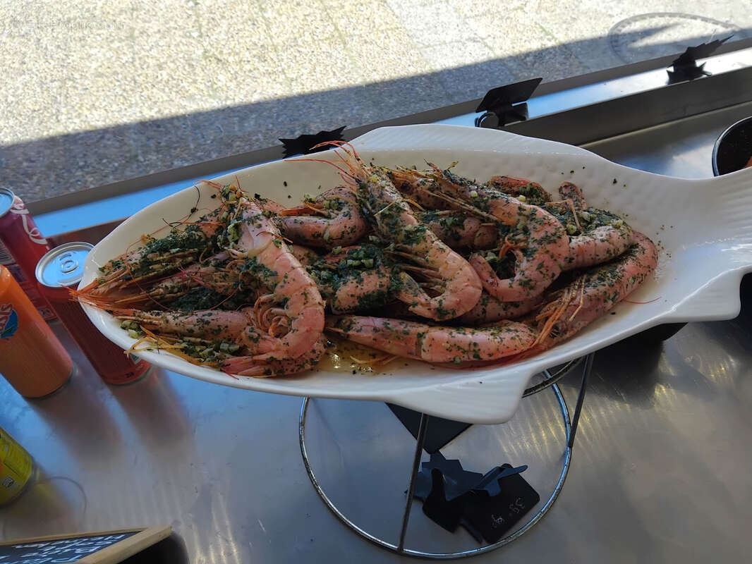 Commerce à LE GRAU-DU-ROI