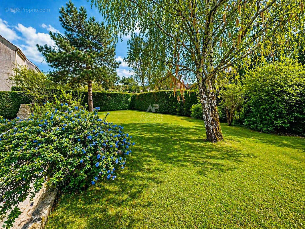 Maison au calme absolu 160 m2 - photo 2