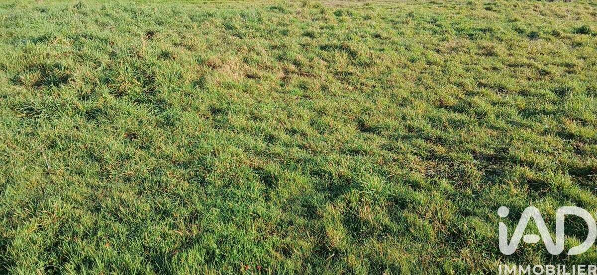 Photo 4 - Terrain à LES LANDES-GENUSSON