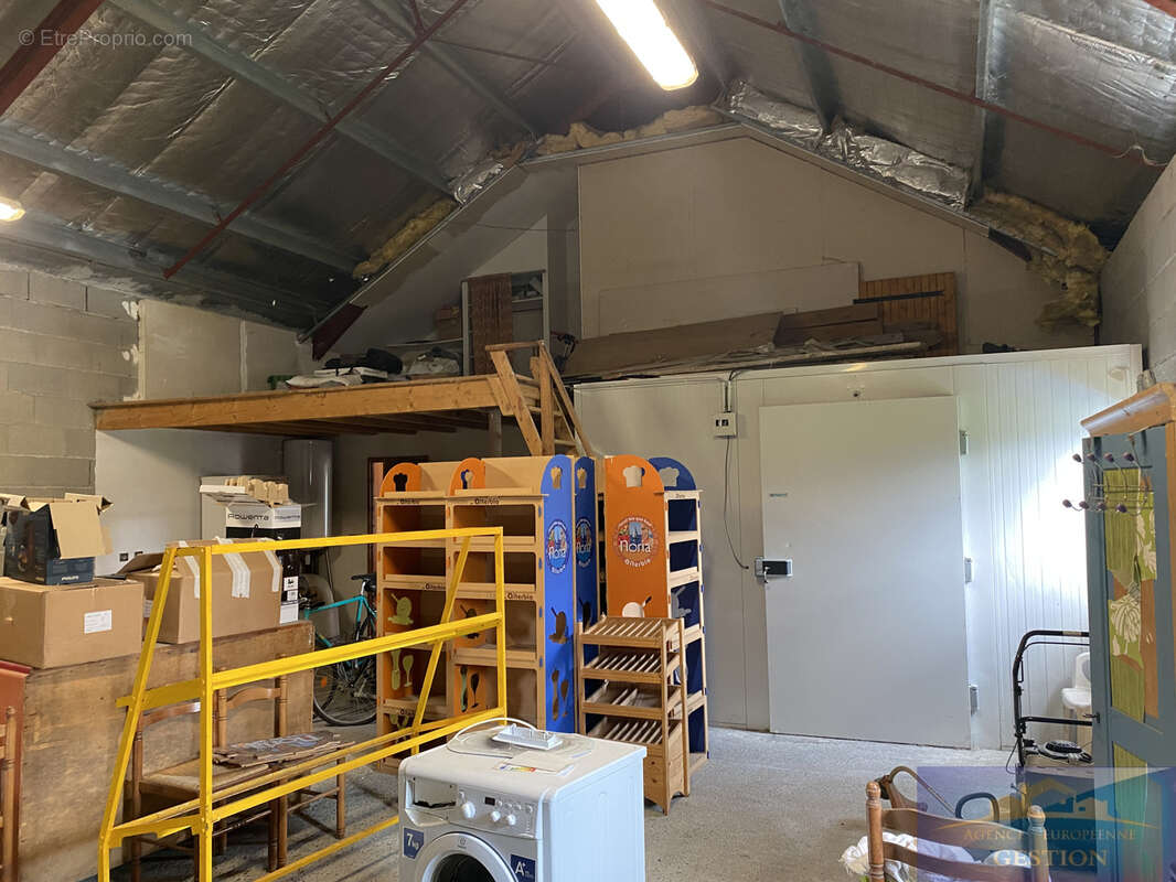 Hangar, pieces et terrain - photo 12