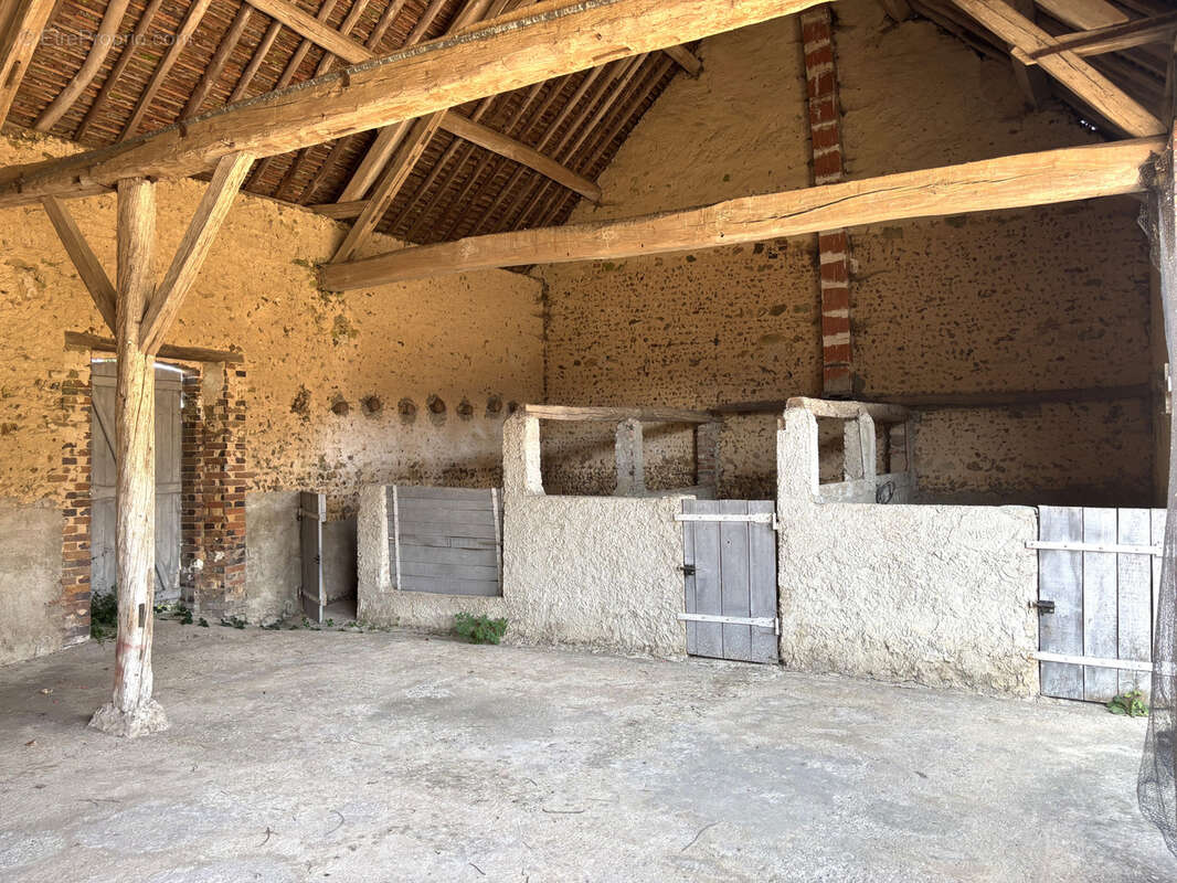 Savigny-sur-clairis - photo 20