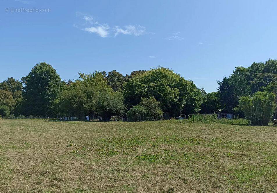 Terrain à SAINT-SEVER