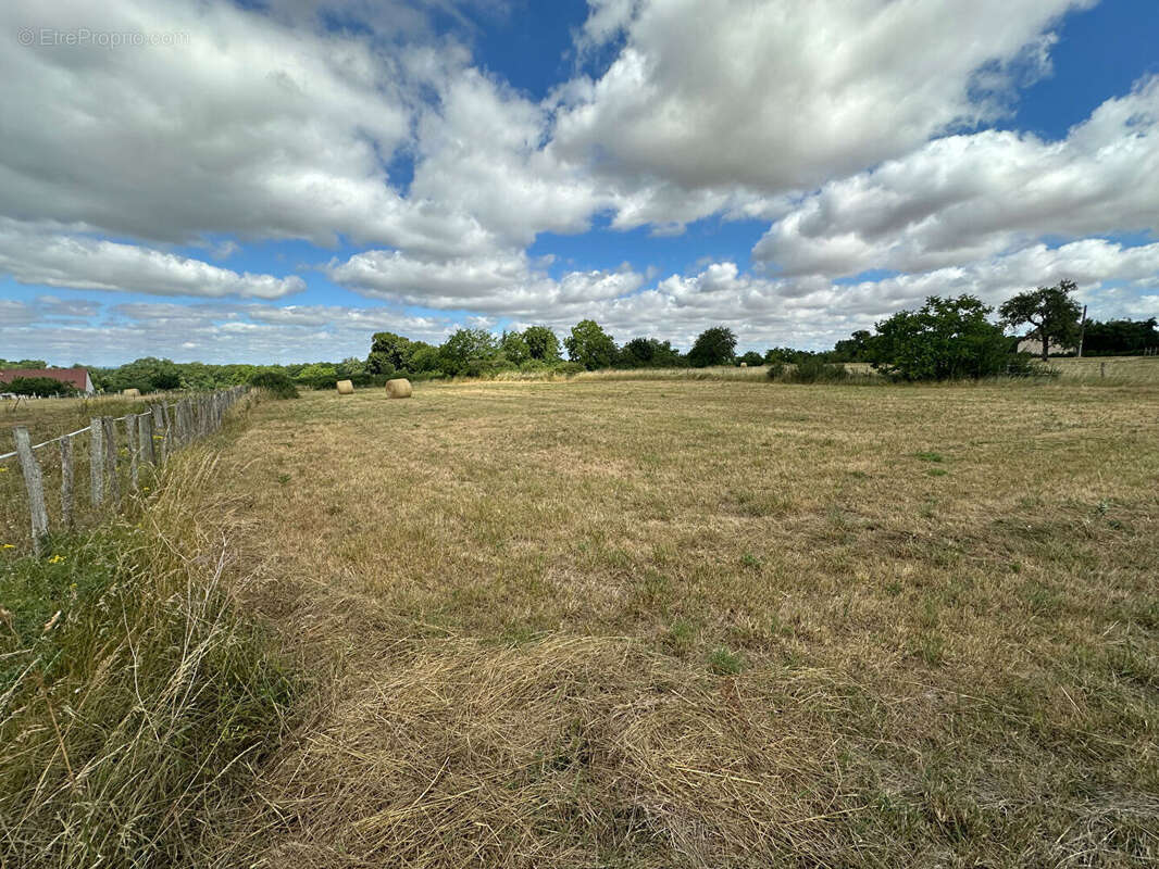 Terrain à BULCY