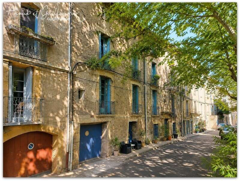 Immeuble 360m² habitable environ à vendre avec 6 appartements et double jardin - PEZENAS (34120) - photo 2