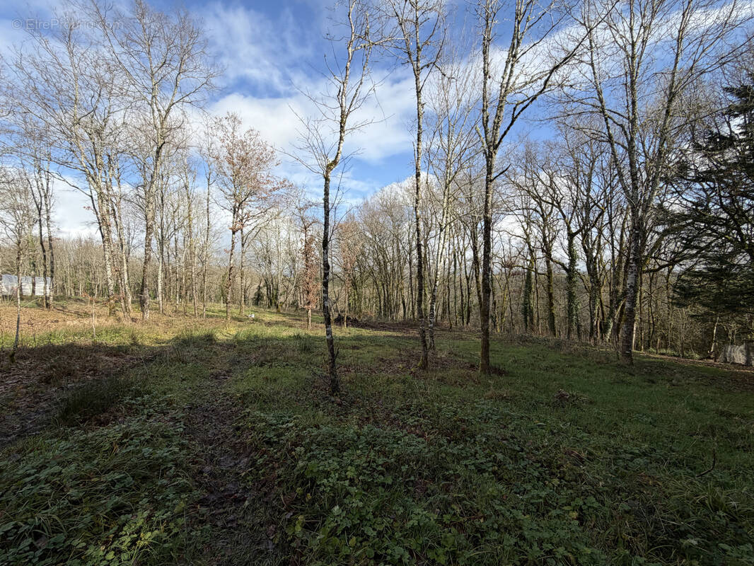 Terrain à SAINT-BONNET-LA-RIVIERE