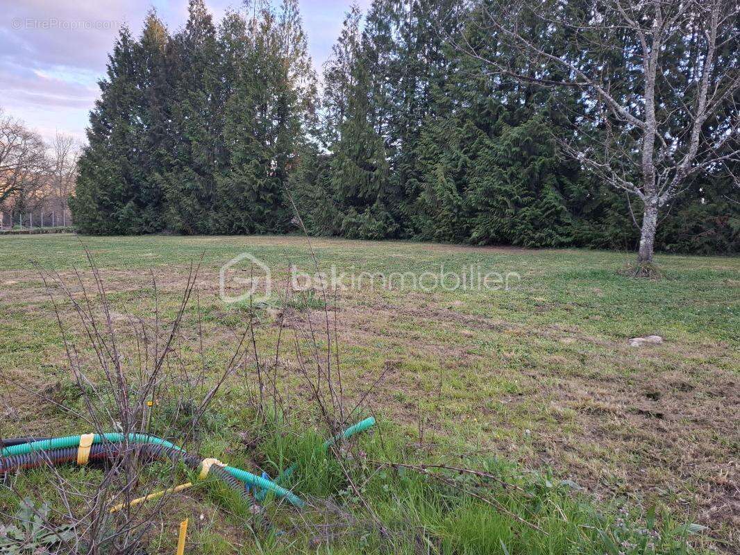 Terrain constructible 1165 m² – Viabilisé – Vue sur coteaux – Sainte-Colombe - photo 3