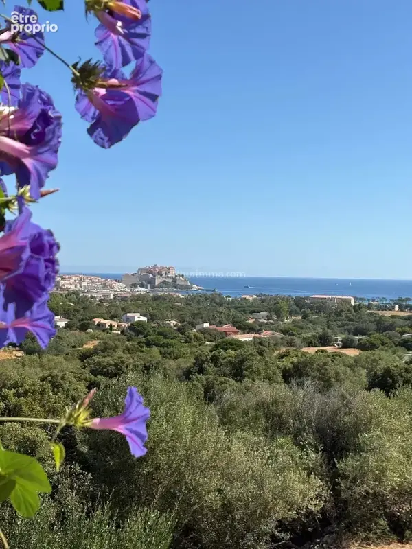 Vente Maison Calvi(20260) 549 000ï¿œ - photo 4