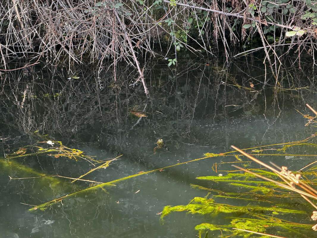 Terrain à VALS-LES-BAINS