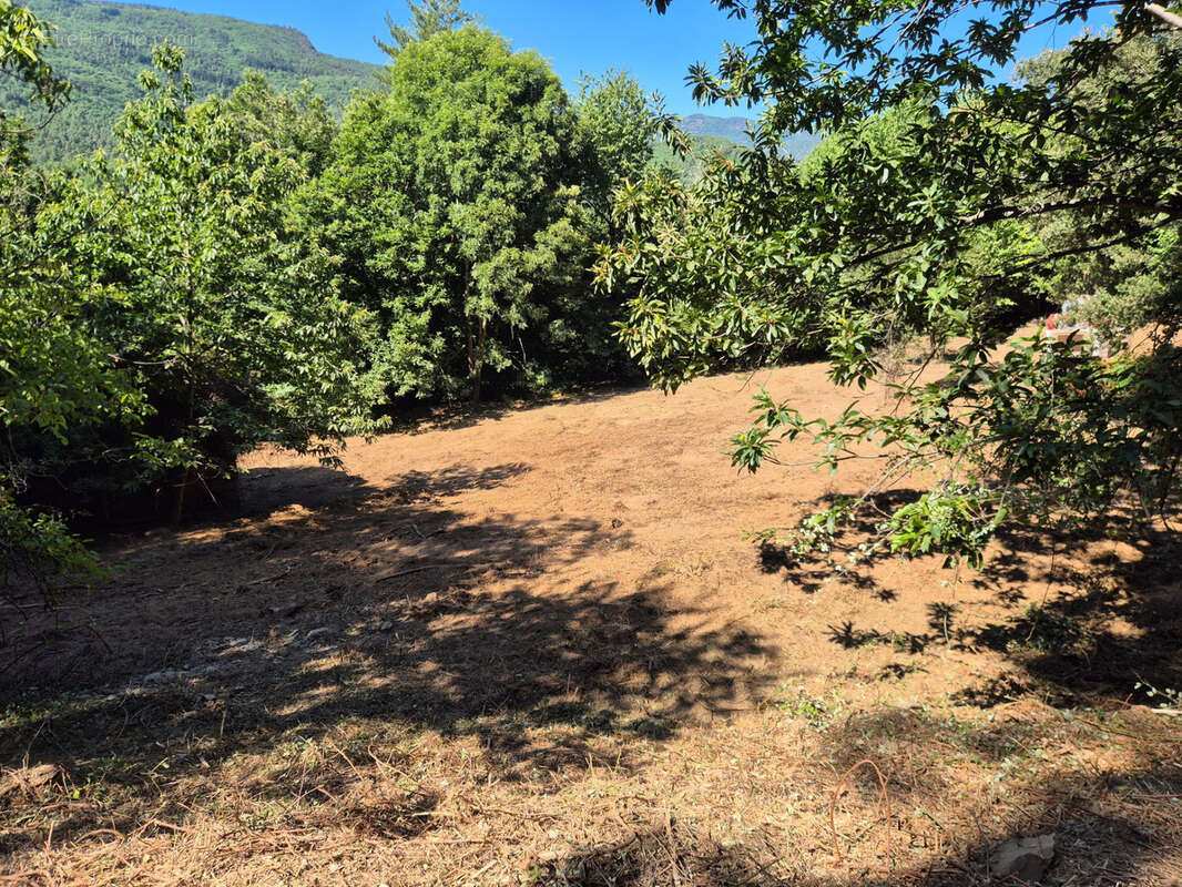 Terrain à vendre  LE COLLET DE DEZE (48) - photo 4