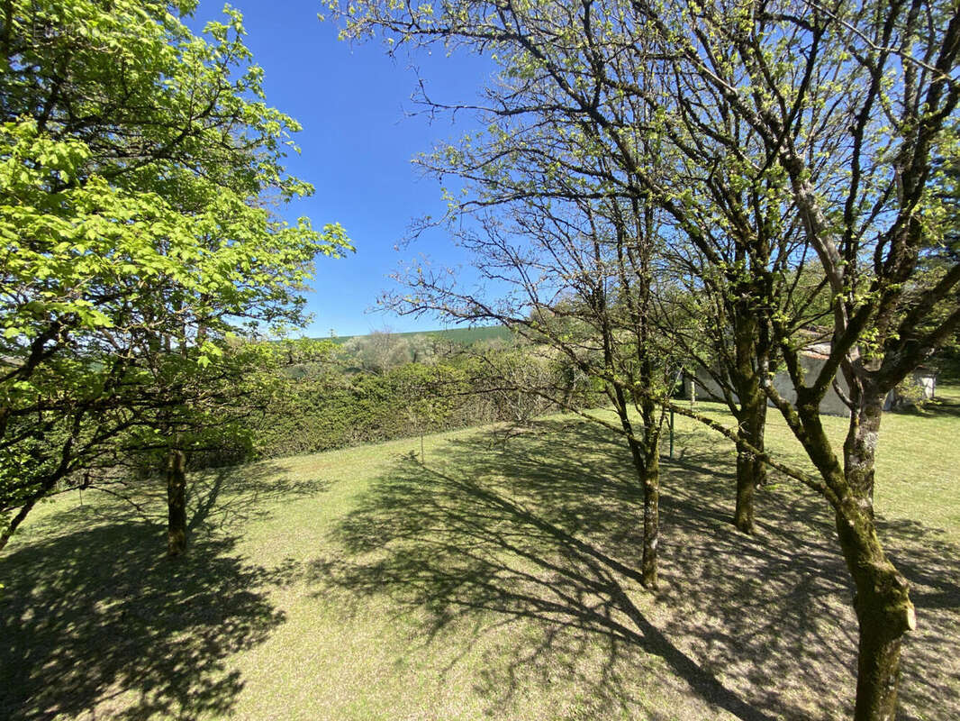JARDIN. - Maison à MONTMOREAU-SAINT-CYBARD