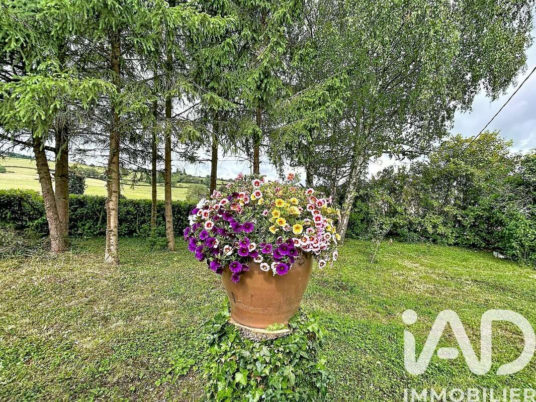 Maison 215 m² à Oye  - photo 4
