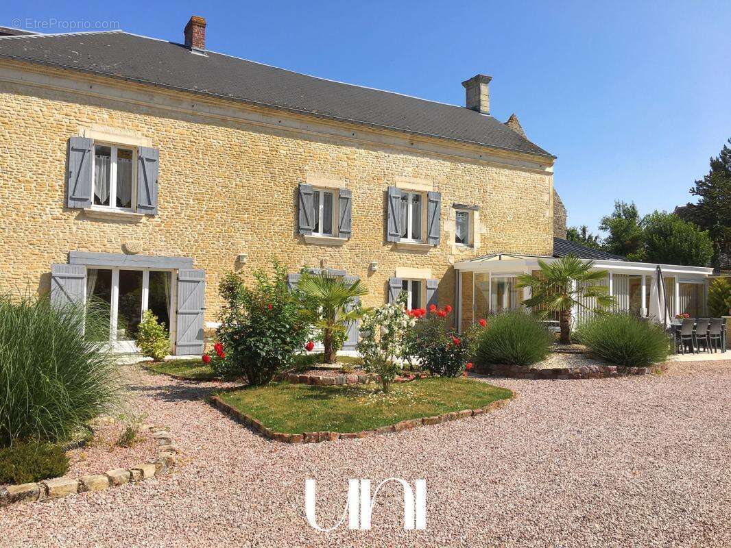 Maison à JORT