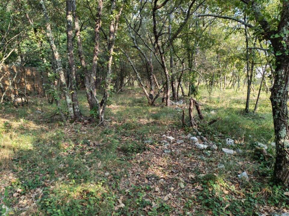 Terrain à TRANS-EN-PROVENCE