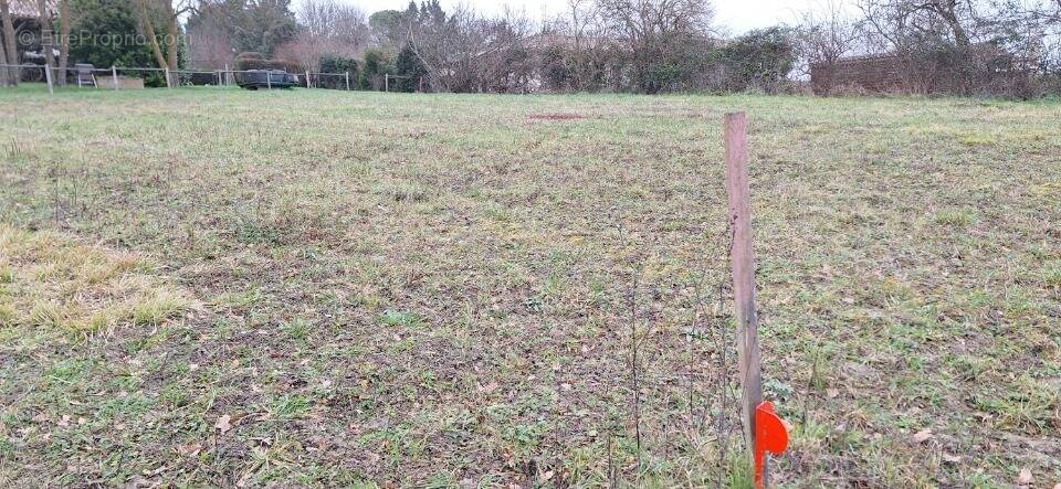 Terrain à CLERMONT-SAVES