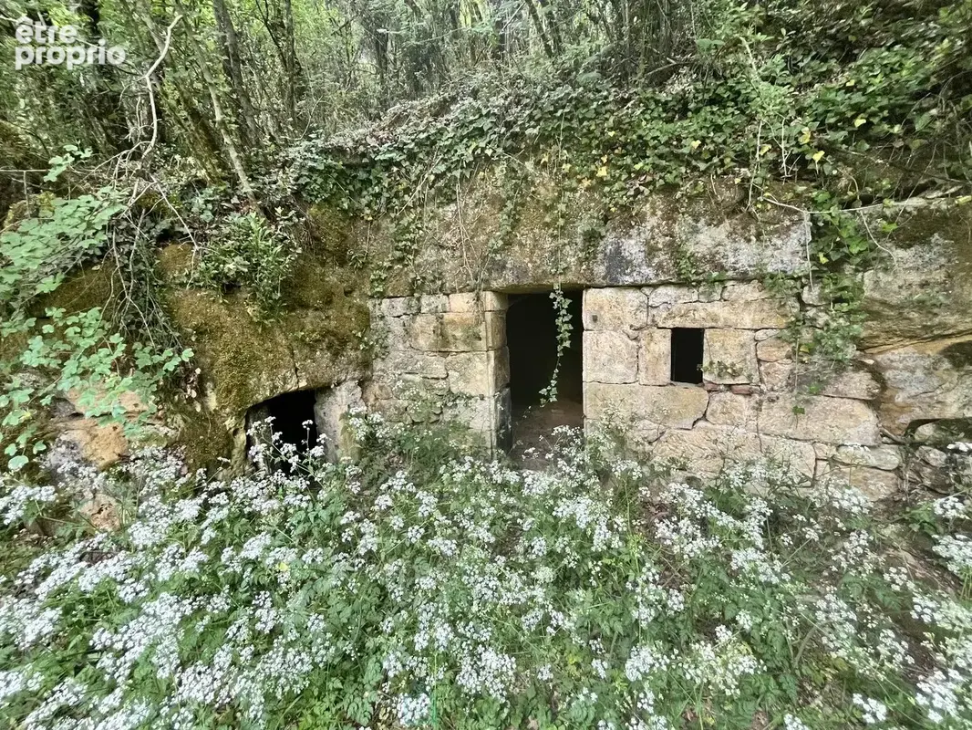 Ensemble d'exception au coeur du Périgord Noir - photo 20