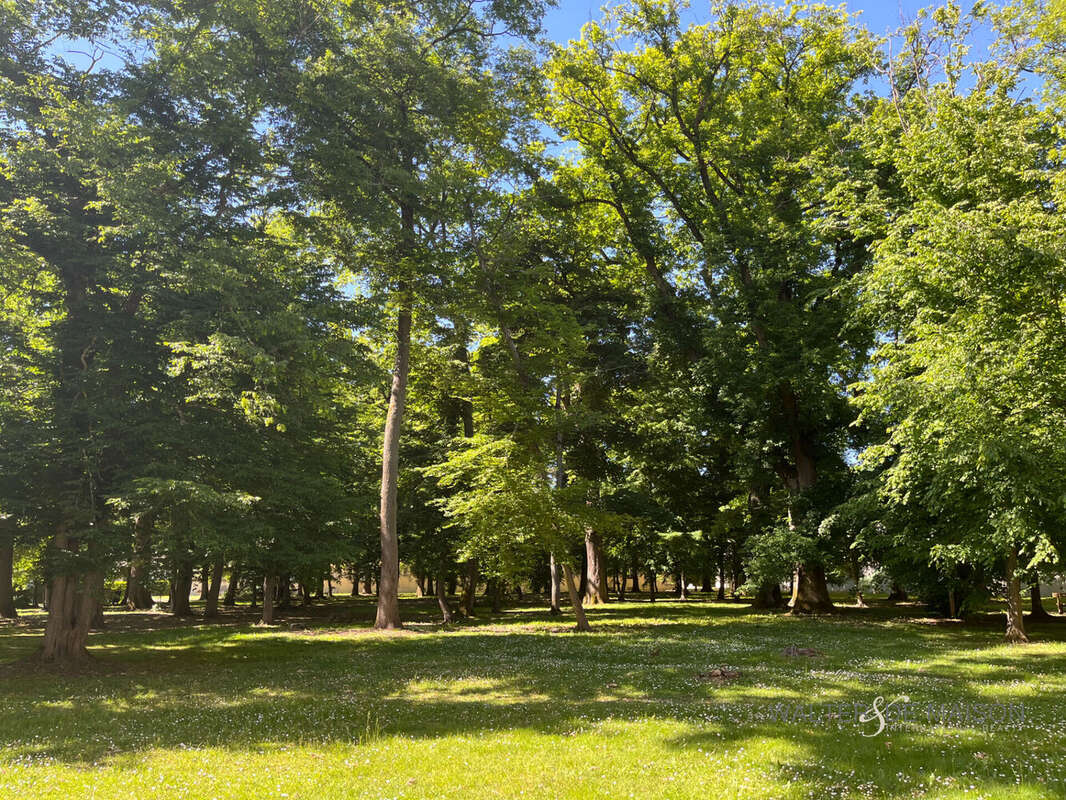 Appartement à LA CELLE-SAINT-CLOUD