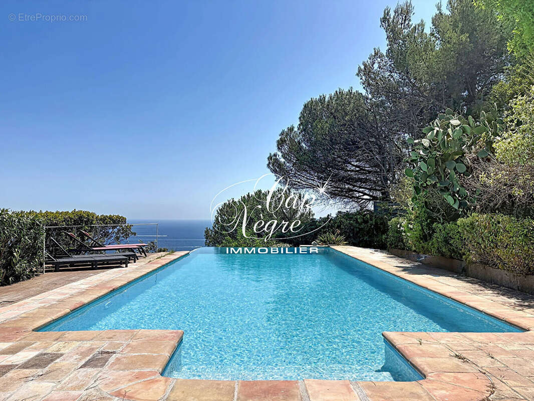 Propriété piscine vue mer au Rayol-Canadel - photo 9