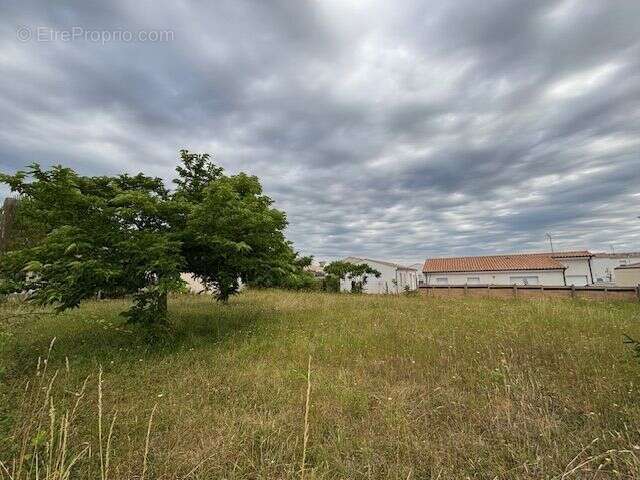Terrain à bâtir de 1040 m² à MESCHERS-SUR-GIRONDE (17) - photo 2