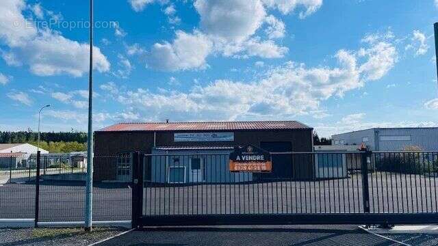 Commerce à BACCARAT