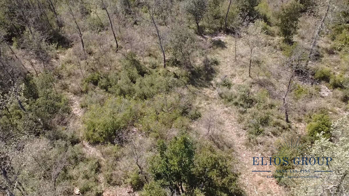 Terrain à NANS-LES-PINS