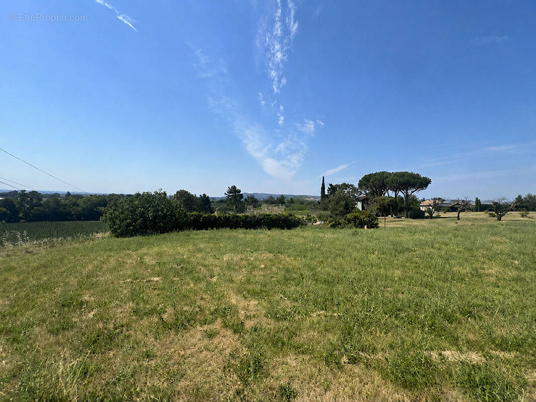 Terrain à LAGARRIGUE