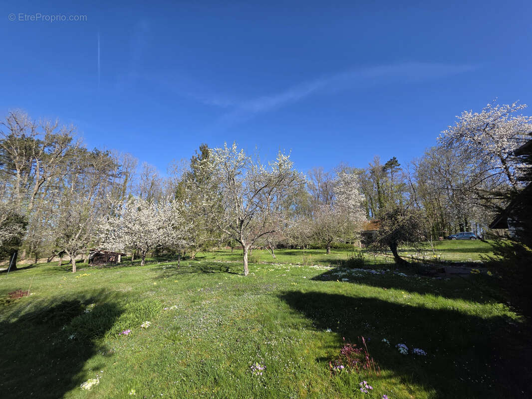 Maison à NEUFCHATEAU