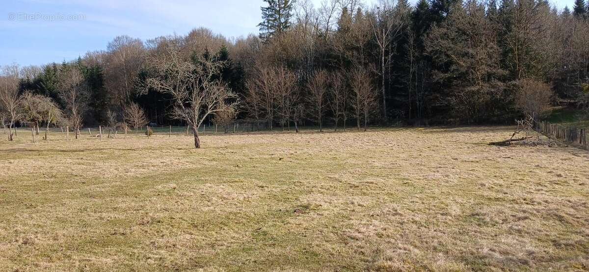 Maison à MONTESSAUX