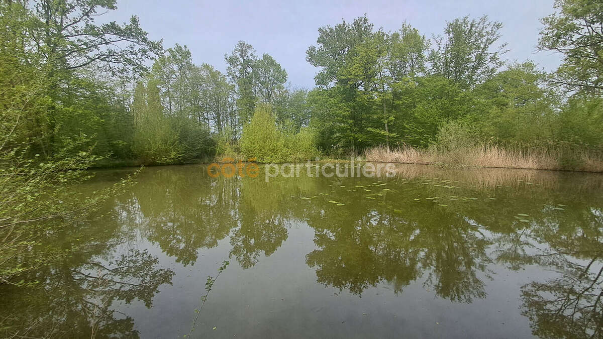 Terrain à CHEVILLON-SUR-HUILLARD