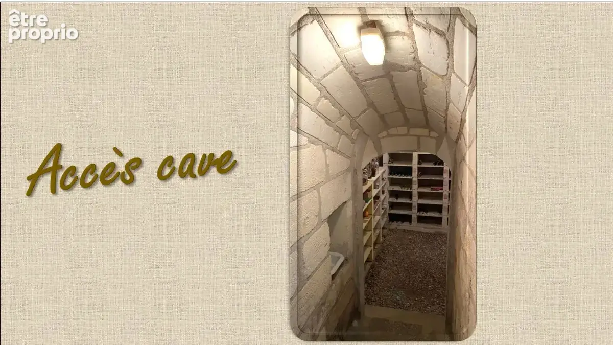 Maison traditionnelle plain pied noyer sur cher (41) - photo 11