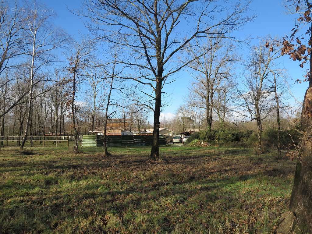 Terrain à SAINT-VIVIEN-DE-MEDOC