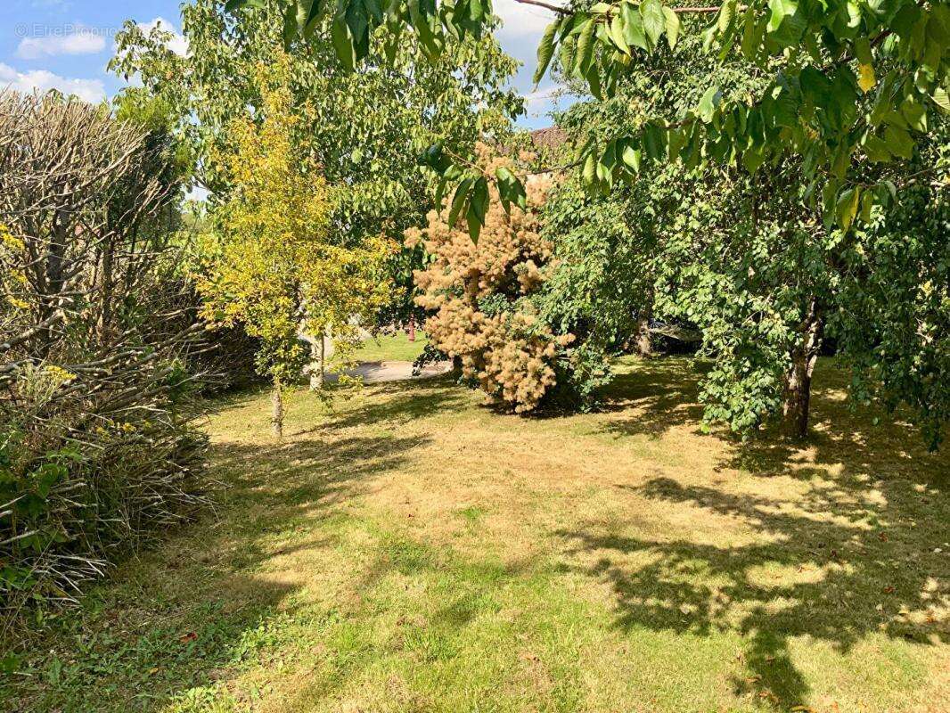 Maison à BULGNEVILLE