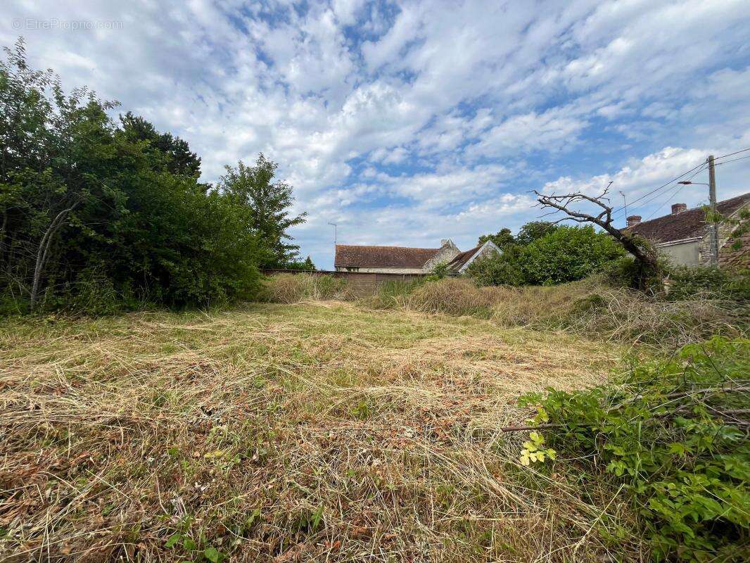 Terrain à CONDE-SUR-IFS
