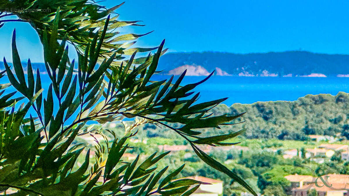 Maison à BORMES-LES-MIMOSAS