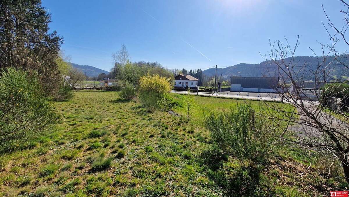 Terrain à SAINT-AME