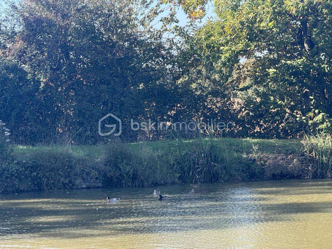 Terrain à SAINT-PIERRE-LA-COUR