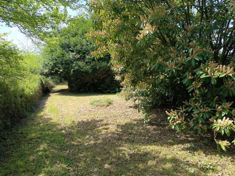 Terrain à vendre  BELLECHAUME (89) - photo 11