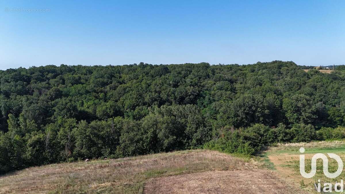 Photo 5 - Terrain à DURFORT-LACAPELETTE